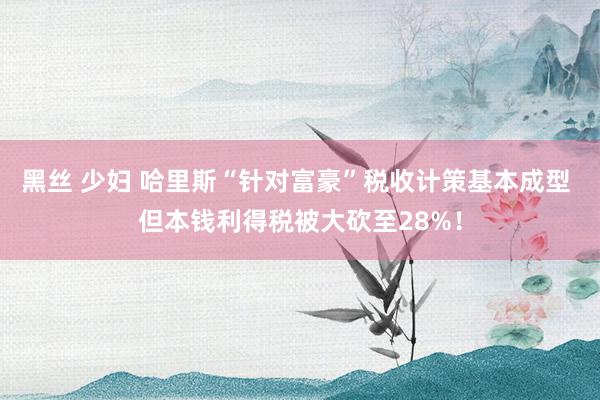 黑丝 少妇 哈里斯“针对富豪”税收计策基本成型 但本钱利得税被大砍至28%！