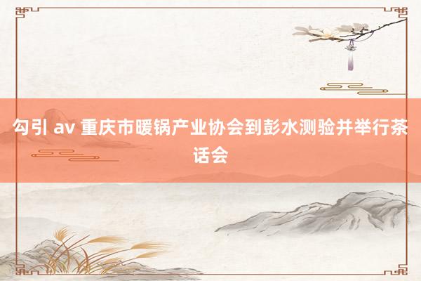 勾引 av 重庆市暖锅产业协会到彭水测验并举行茶话会