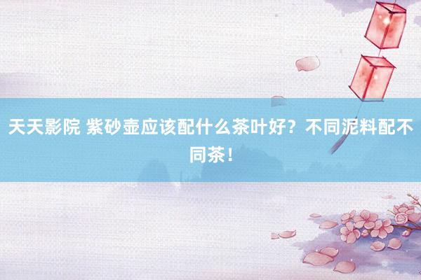 天天影院 紫砂壶应该配什么茶叶好？不同泥料配不同茶！