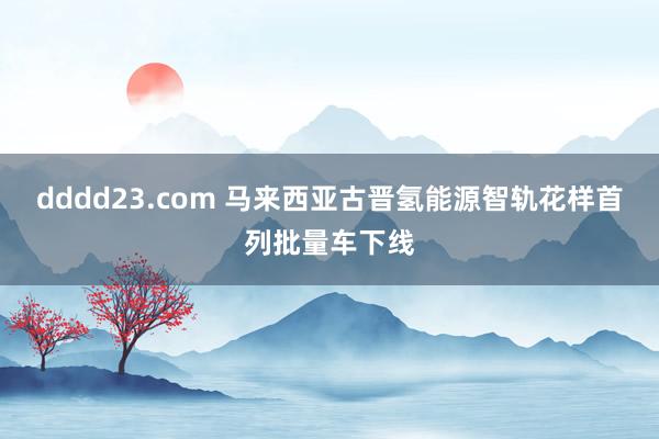 dddd23.com 马来西亚古晋氢能源智轨花样首列批量车下线