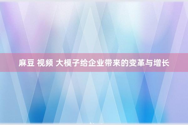 麻豆 视频 大模子给企业带来的变革与增长