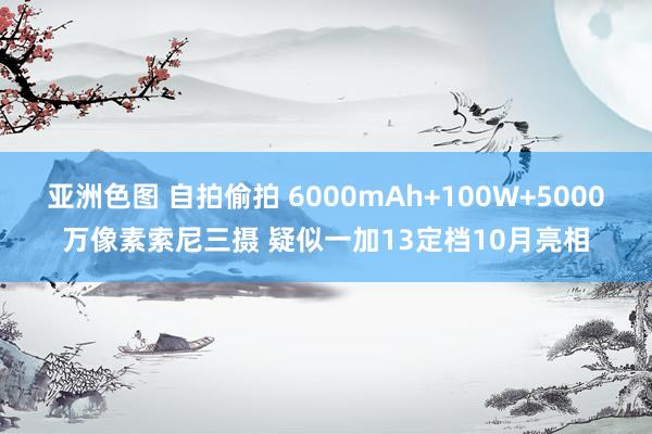亚洲色图 自拍偷拍 6000mAh+100W+5000万像素索尼三摄 疑似一加13定档10月亮相