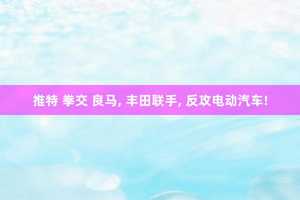 推特 拳交 良马， 丰田联手， 反攻电动汽车!
