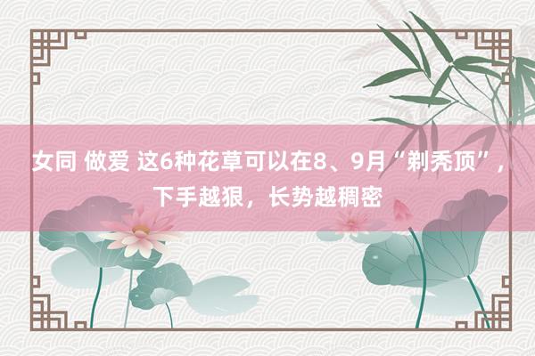 女同 做爱 这6种花草可以在8、9月“剃秃顶”，下手越狠，长势越稠密