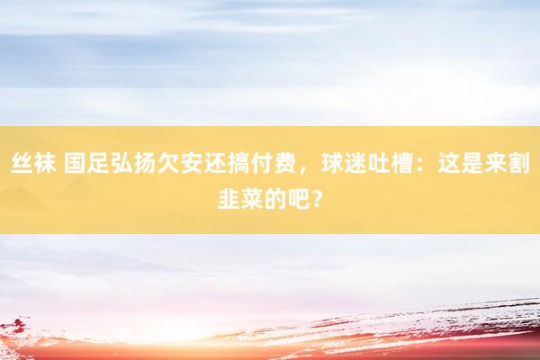 丝袜 国足弘扬欠安还搞付费，球迷吐槽：这是来割韭菜的吧？