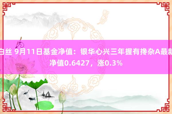 白丝 9月11日基金净值：银华心兴三年握有搀杂A最新净值0.6427，涨0.3%