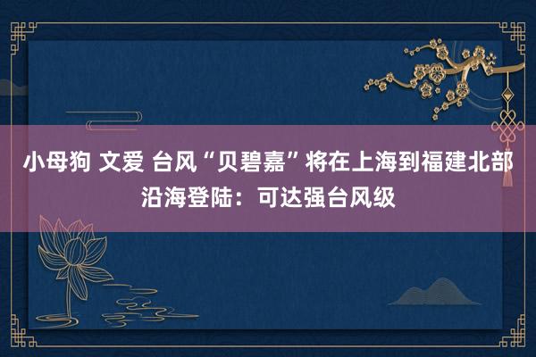 小母狗 文爱 台风“贝碧嘉”将在上海到福建北部沿海登陆：可达强台风级