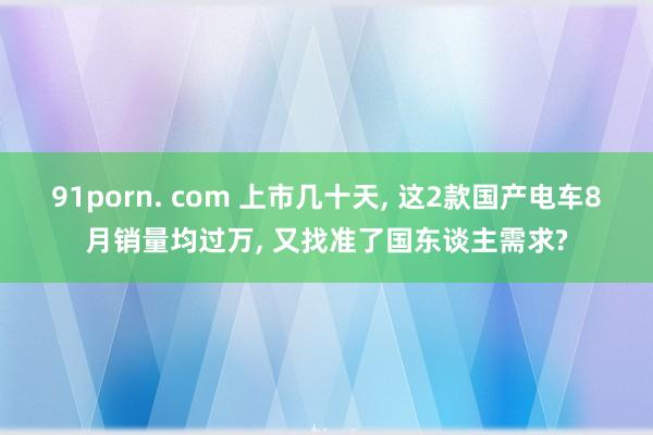 91porn. com 上市几十天， 这2款国产电车8月销量均过万， 又找准了国东谈主需求?