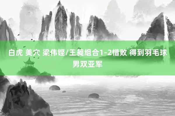 白虎 美穴 梁伟铿/王昶组合1-2惜败 得到羽毛球男双亚军