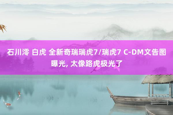 石川澪 白虎 全新奇瑞瑞虎7/瑞虎7 C-DM文告图曝光， 太像路虎极光了