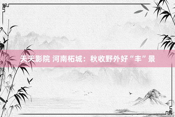 天天影院 河南柘城：秋收野外好“丰”景