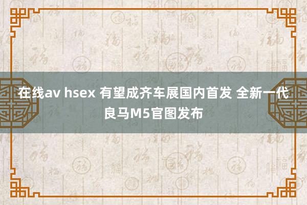 在线av hsex 有望成齐车展国内首发 全新一代良马M5官图发布