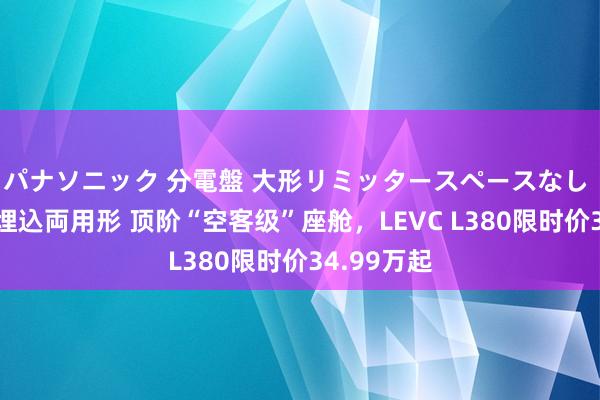 パナソニック 分電盤 大形リミッタースペースなし 露出・半埋込両用形 顶阶“空客级”座舱，LEVC L380限时价34.99万起