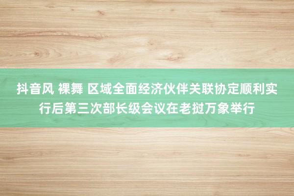 抖音风 裸舞 区域全面经济伙伴关联协定顺利实行后第三次部长级会议在老挝万象举行