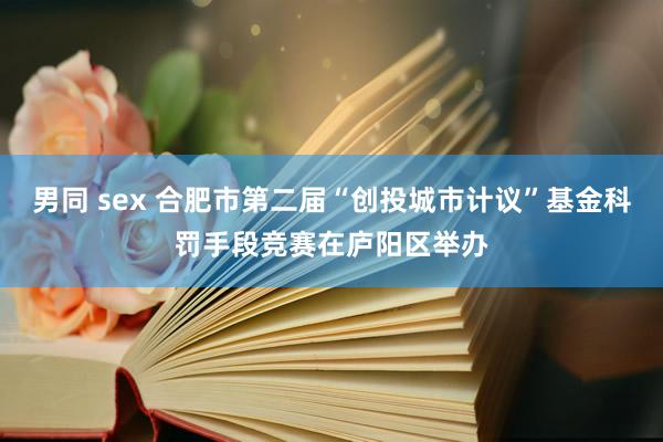 男同 sex 合肥市第二届“创投城市计议”基金科罚手段竞赛在庐阳区举办