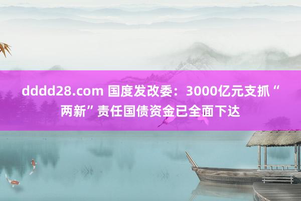 dddd28.com 国度发改委：3000亿元支抓“两新”责任国债资金已全面下达