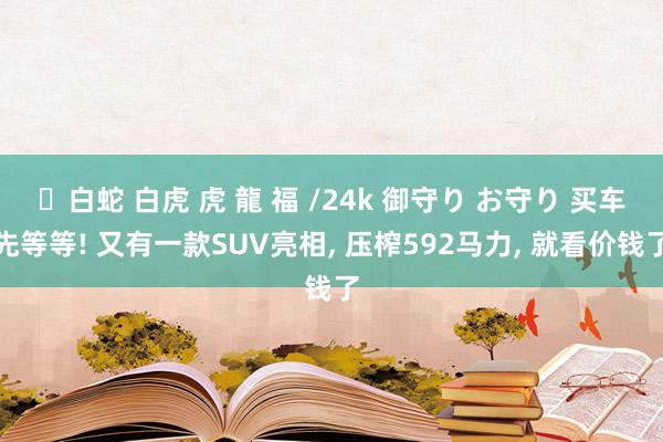 ✨白蛇 白虎 虎 龍 福 /24k 御守り お守り 买车先等等! 又有一款SUV亮相， 压榨592马力， 就看价钱了
