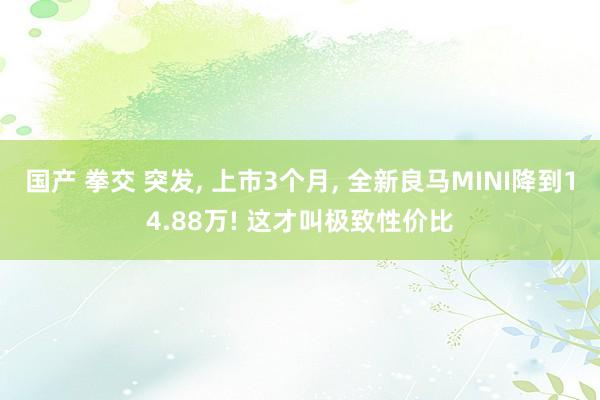 国产 拳交 突发， 上市3个月， 全新良马MINI降到14.88万! 这才叫极致性价比