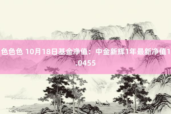色色色 10月18日基金净值：中金新辉1年最新净值1.0455