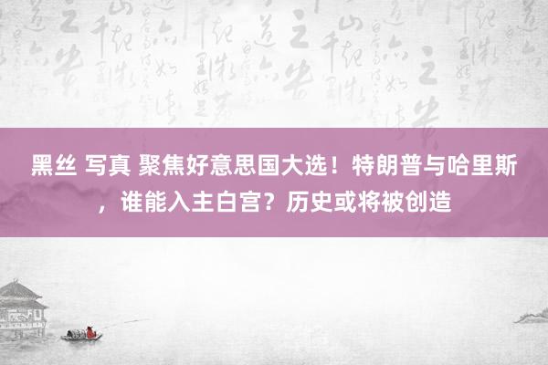 黑丝 写真 聚焦好意思国大选！特朗普与哈里斯，谁能入主白宫？历史或将被创造