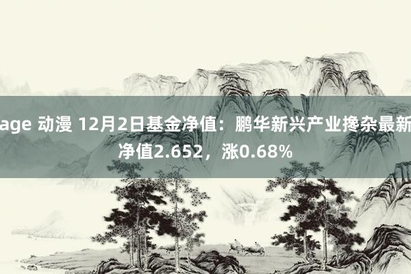 age 动漫 12月2日基金净值：鹏华新兴产业搀杂最新净值2.652，涨0.68%