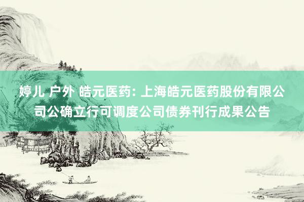 婷儿 户外 皓元医药: 上海皓元医药股份有限公司公确立行可调度公司债券刊行成果公告