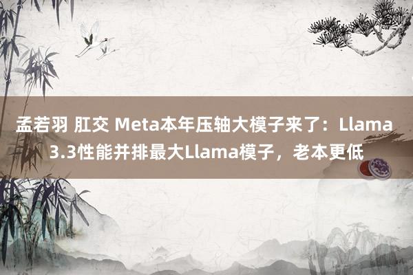 孟若羽 肛交 Meta本年压轴大模子来了：Llama 3.3性能并排最大Llama模子，老本更低