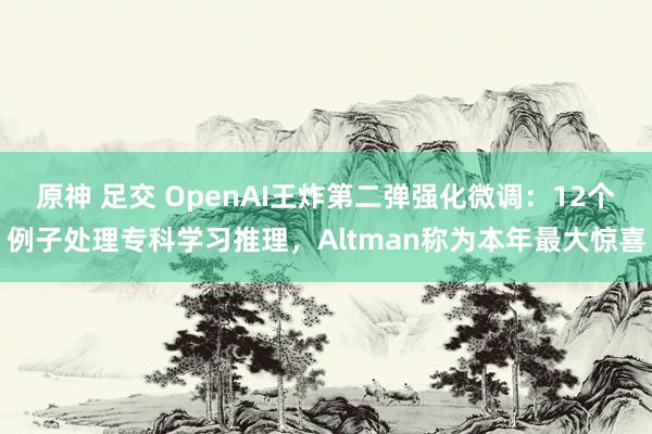 原神 足交 OpenAI王炸第二弹强化微调：12个例子处理专科学习推理，Altman称为本年最大惊喜