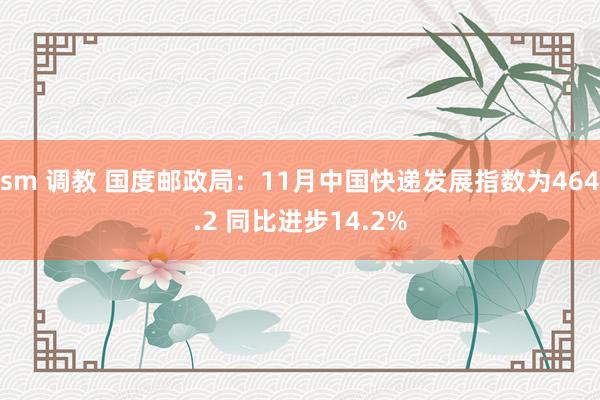 sm 调教 国度邮政局：11月中国快递发展指数为464.2 同比进步14.2%
