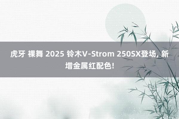 虎牙 裸舞 2025 铃木V-Strom 250SX登场， 新增金属红配色!