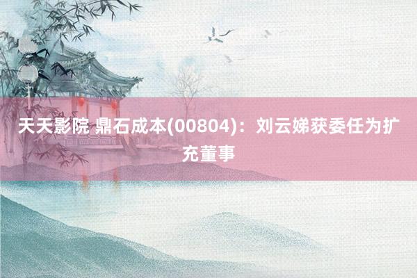 天天影院 鼎石成本(00804)：刘云娣获委任为扩充董事