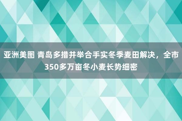 亚洲美图 青岛多措并举合手实冬季麦田解决，全市350多万亩冬小麦长势细密