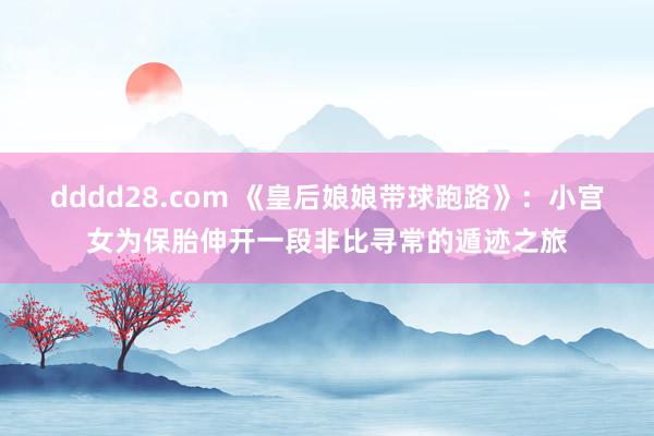 dddd28.com 《皇后娘娘带球跑路》：小宫女为保胎伸开一段非比寻常的遁迹之旅