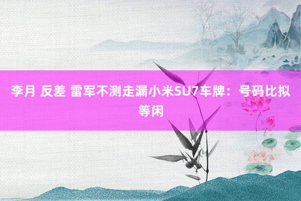 李月 反差 雷军不测走漏小米SU7车牌：号码比拟等闲