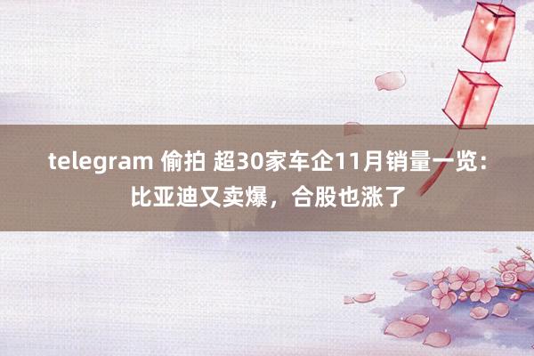 telegram 偷拍 超30家车企11月销量一览：比亚迪又卖爆，合股也涨了