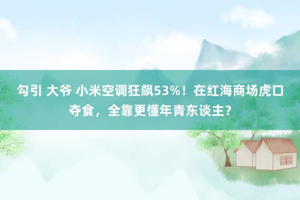 勾引 大爷 小米空调狂飙53%！在红海商场虎口夺食，全靠更懂年青东谈主？