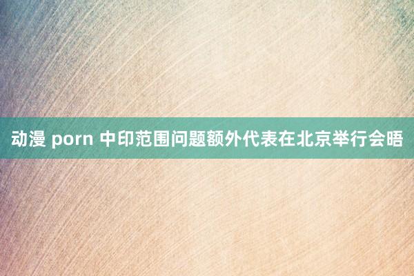 动漫 porn 中印范围问题额外代表在北京举行会晤
