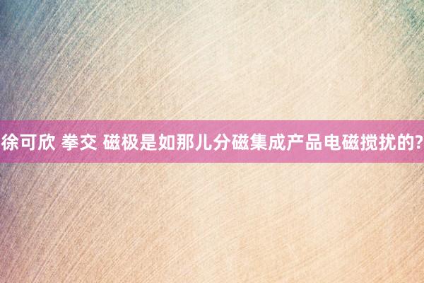 徐可欣 拳交 磁极是如那儿分磁集成产品电磁搅扰的?