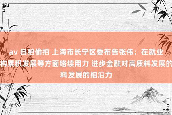 av 自拍偷拍 上海市长宁区委布告张伟：在就业金融机构累积发展等方面络续用力 进步金融对高质料发展的相沿力