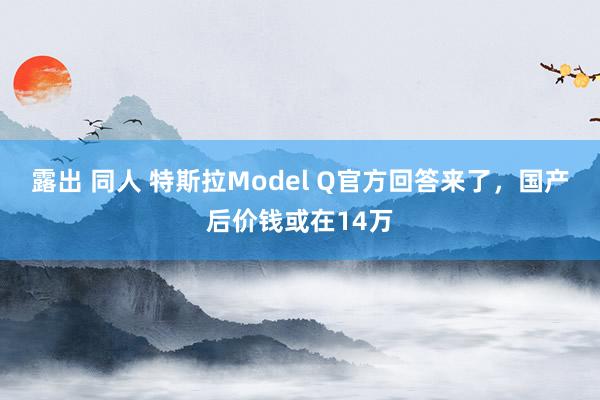 露出 同人 特斯拉Model Q官方回答来了，国产后价钱或在14万