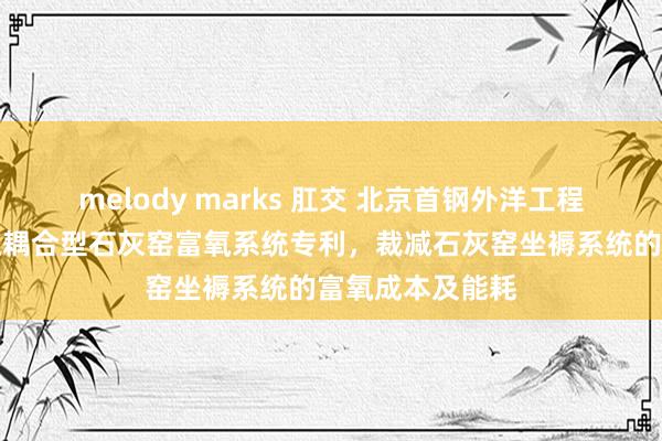 melody marks 肛交 北京首钢外洋工程本领赢得高下压耦合型石灰窑富氧系统专利，裁减石灰窑坐褥系统的富氧成本及能耗