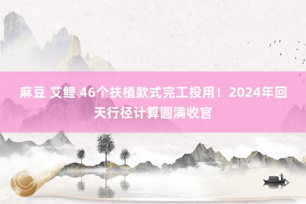 麻豆 艾鲤 46个扶植款式完工投用！2024年回天行径计算圆满收官