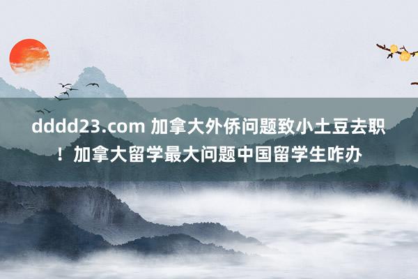 dddd23.com 加拿大外侨问题致小土豆去职！加拿大留学最大问题中国留学生咋办
