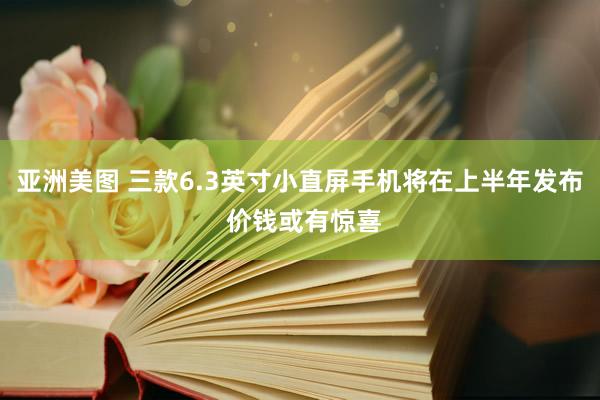 亚洲美图 三款6.3英寸小直屏手机将在上半年发布 价钱或有惊喜
