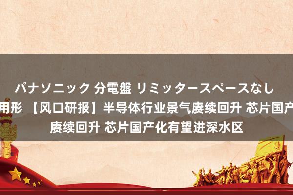 パナソニック 分電盤 リミッタースペースなし 露出・半埋込両用形 【风口研报】半导体行业景气赓续回升 芯片国产化有望进深水区