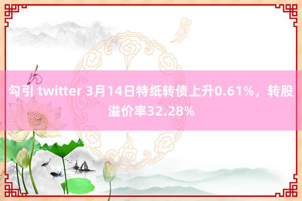 勾引 twitter 3月14日特纸转债上升0.61%，转股溢价率32.28%