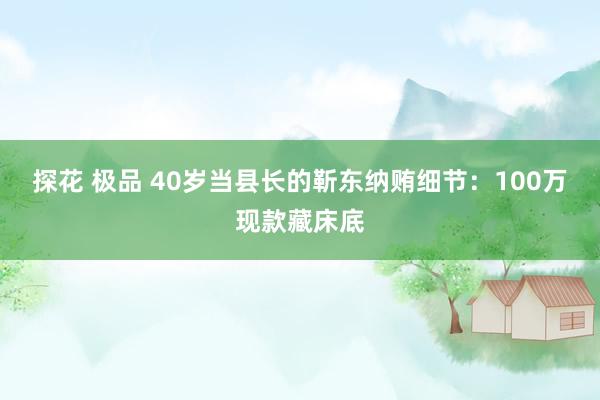 探花 极品 40岁当县长的靳东纳贿细节：100万现款藏床底