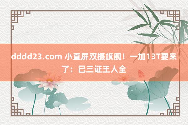 dddd23.com 小直屏双摄旗舰！一加13T要来了：已三证王人全