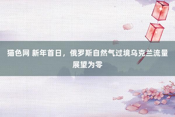 猫色网 新年首日，俄罗斯自然气过境乌克兰流量展望为零