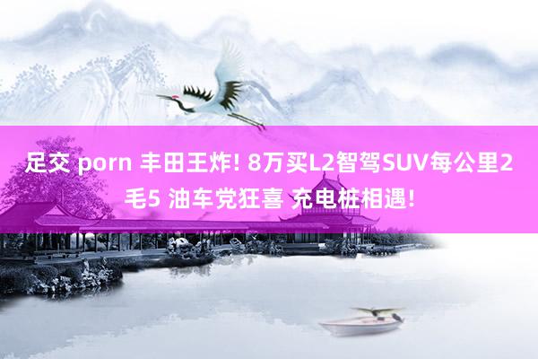 足交 porn 丰田王炸! 8万买L2智驾SUV每公里2毛5 油车党狂喜 充电桩相遇!